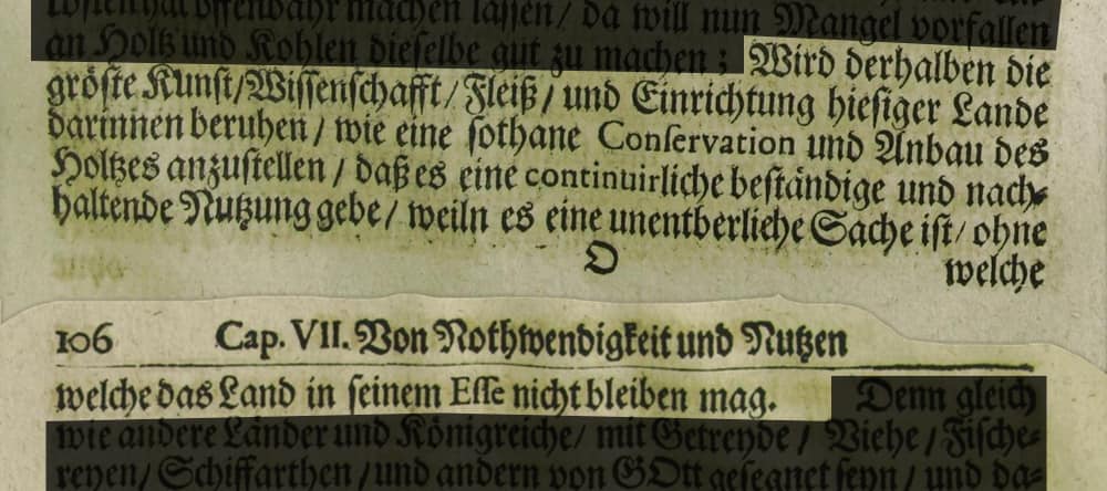 Das Originalzitat aus dem Buch Hans Carl von Carlowitz - Sylvicultura oeconomica - Originaltext Bild